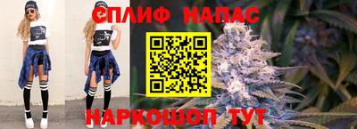 мяу мяу мука Малоярославец