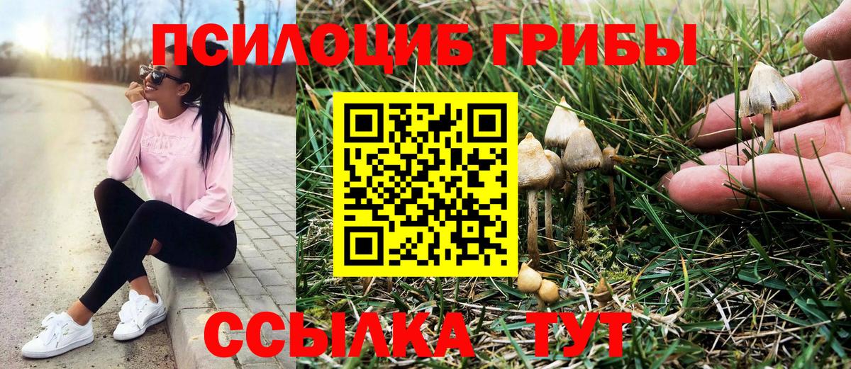 Владивосток  Псилоцибиновые грибы Psilocybine cubensis  Вход с VPN 